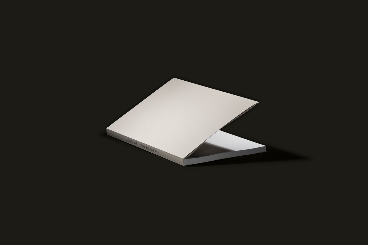 0ab8b9ef3f2167a2