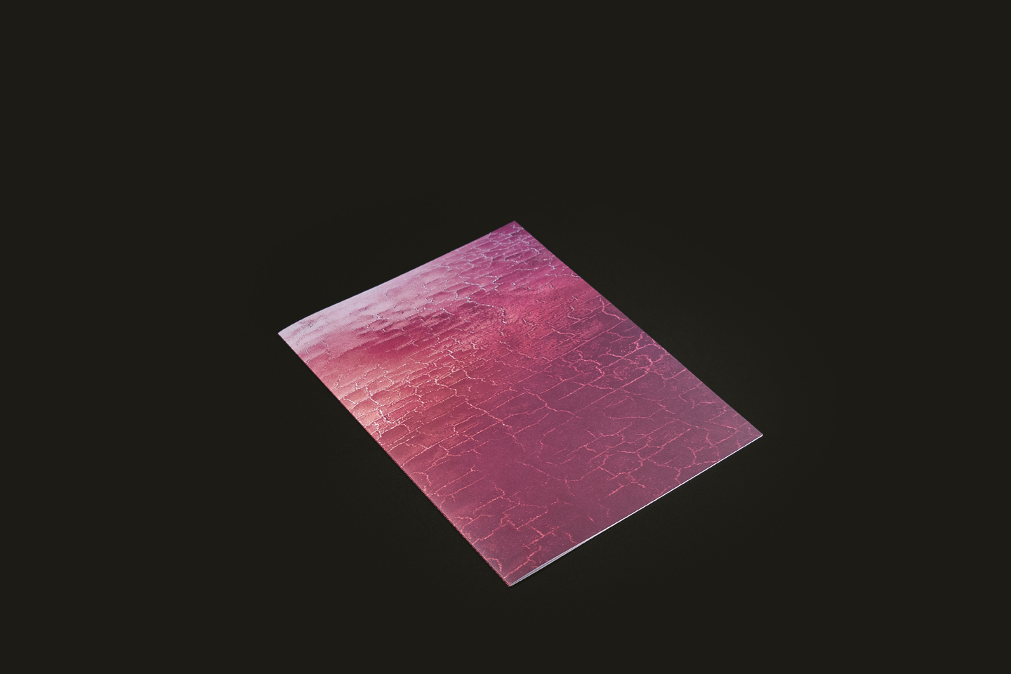 3ca10617574925f8