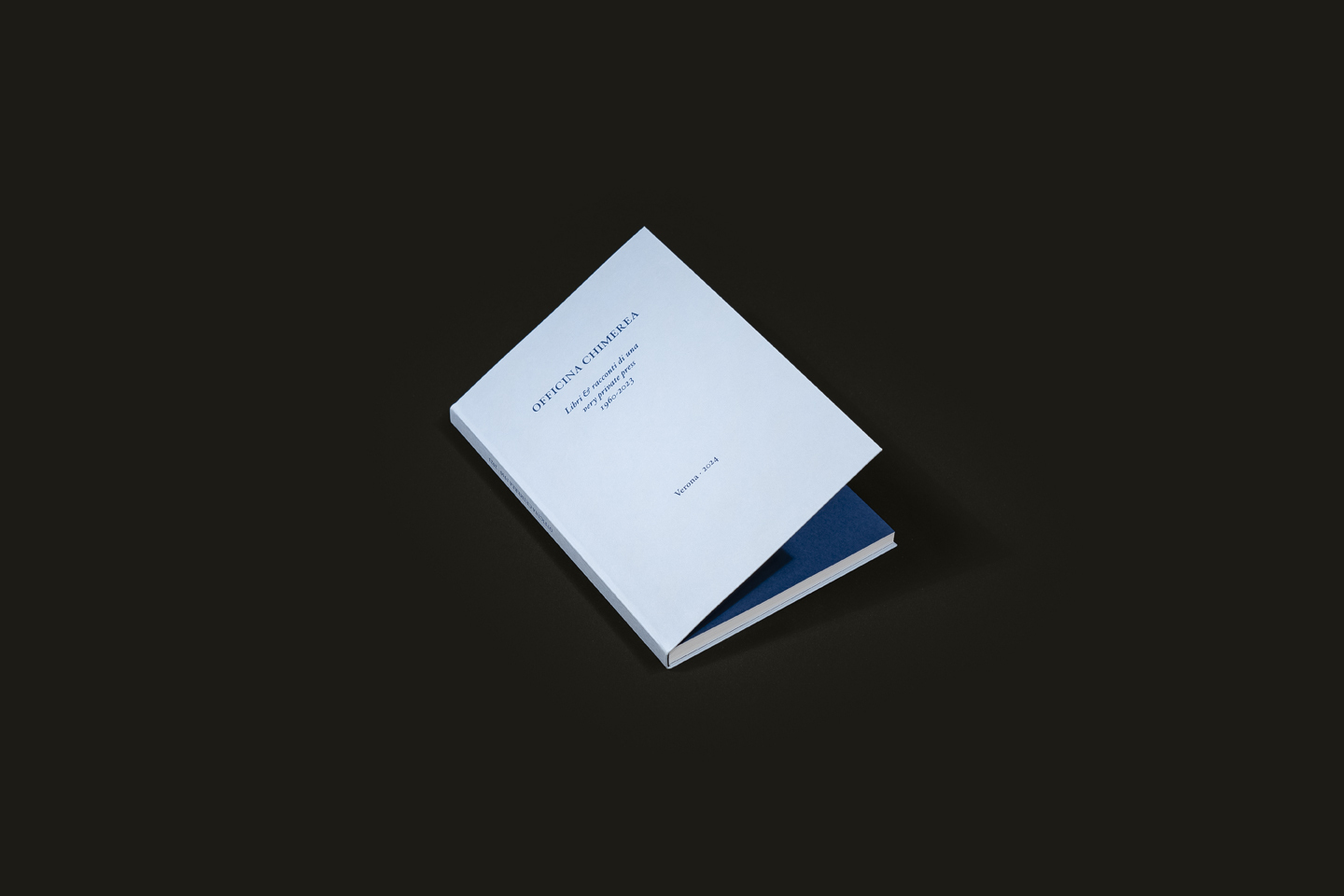 53dcc4f161b24c09