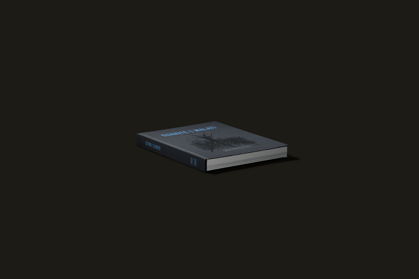 6d9b2048ac8279e9