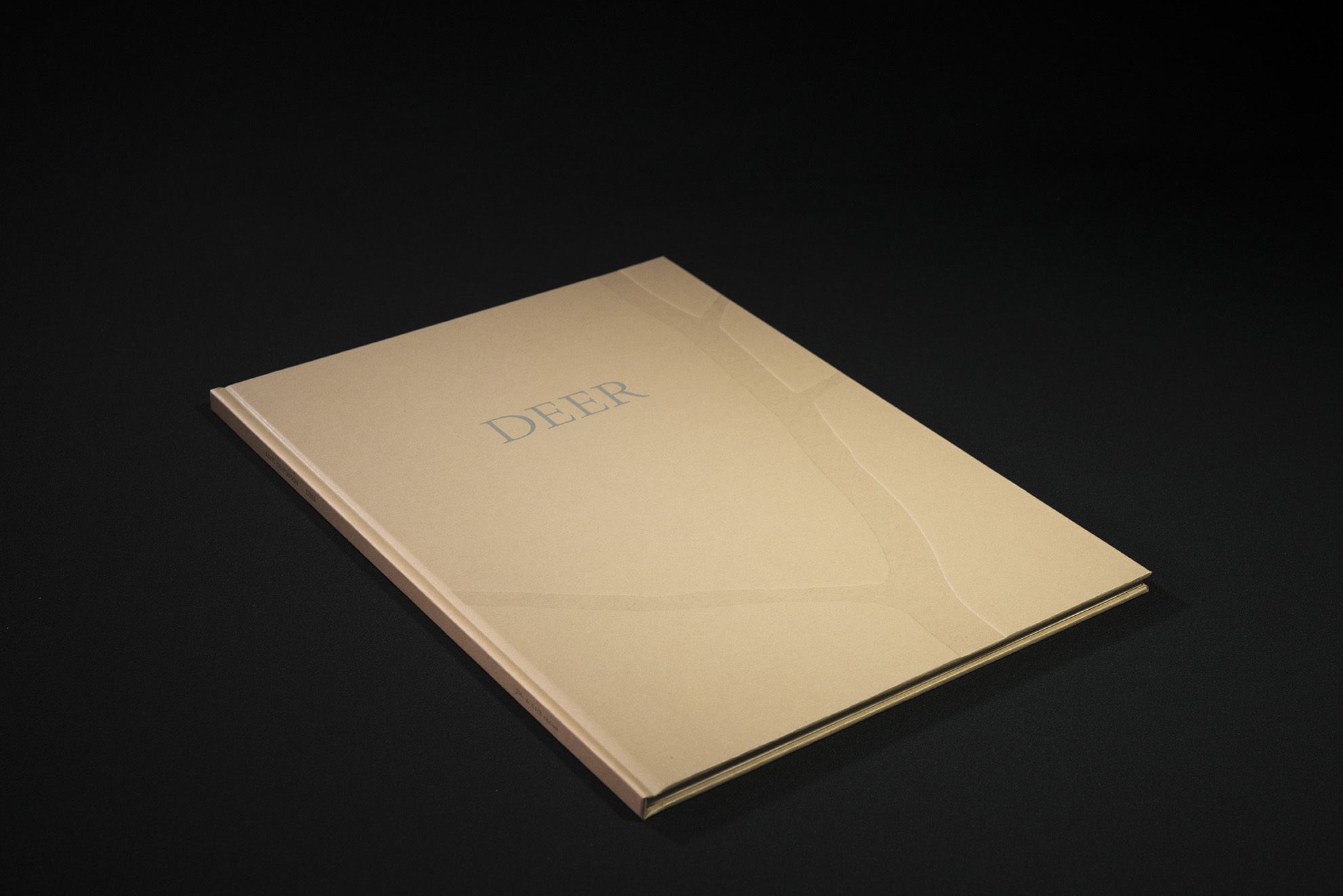 81173d7519690301