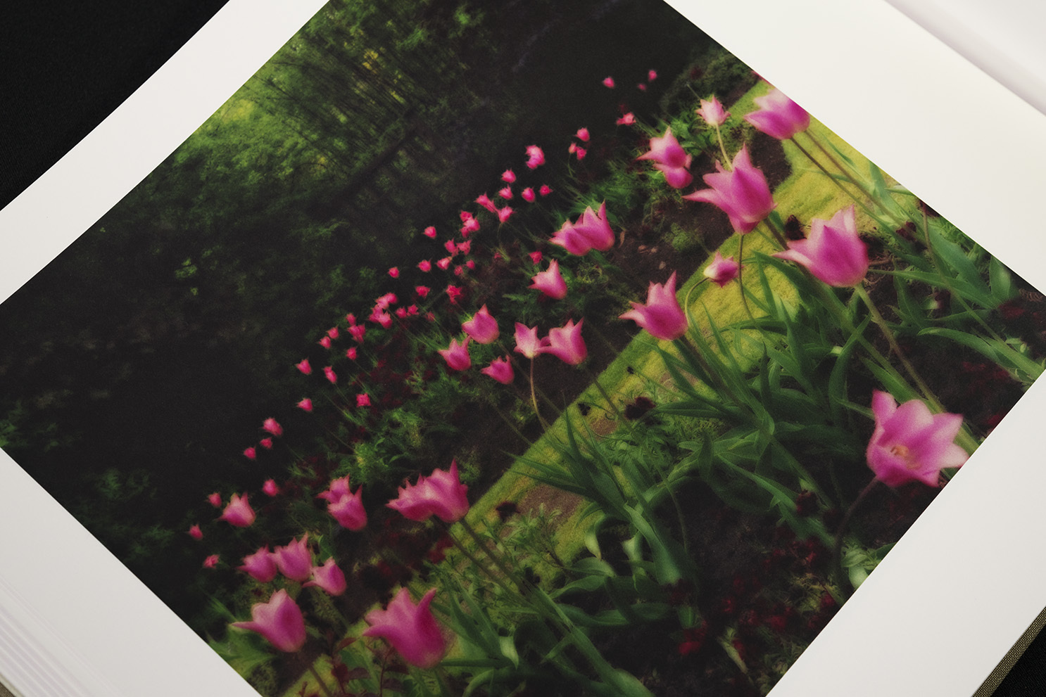 96c9c584ab42a547