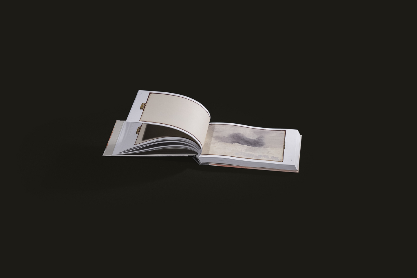 C760d3dcd4a99899