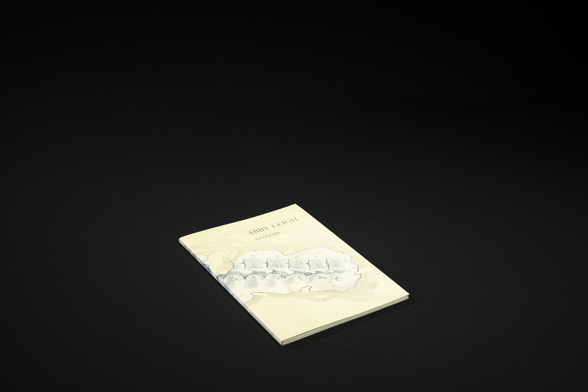 Da535e6df390907c